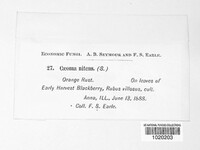 Image Associated With the Occurence